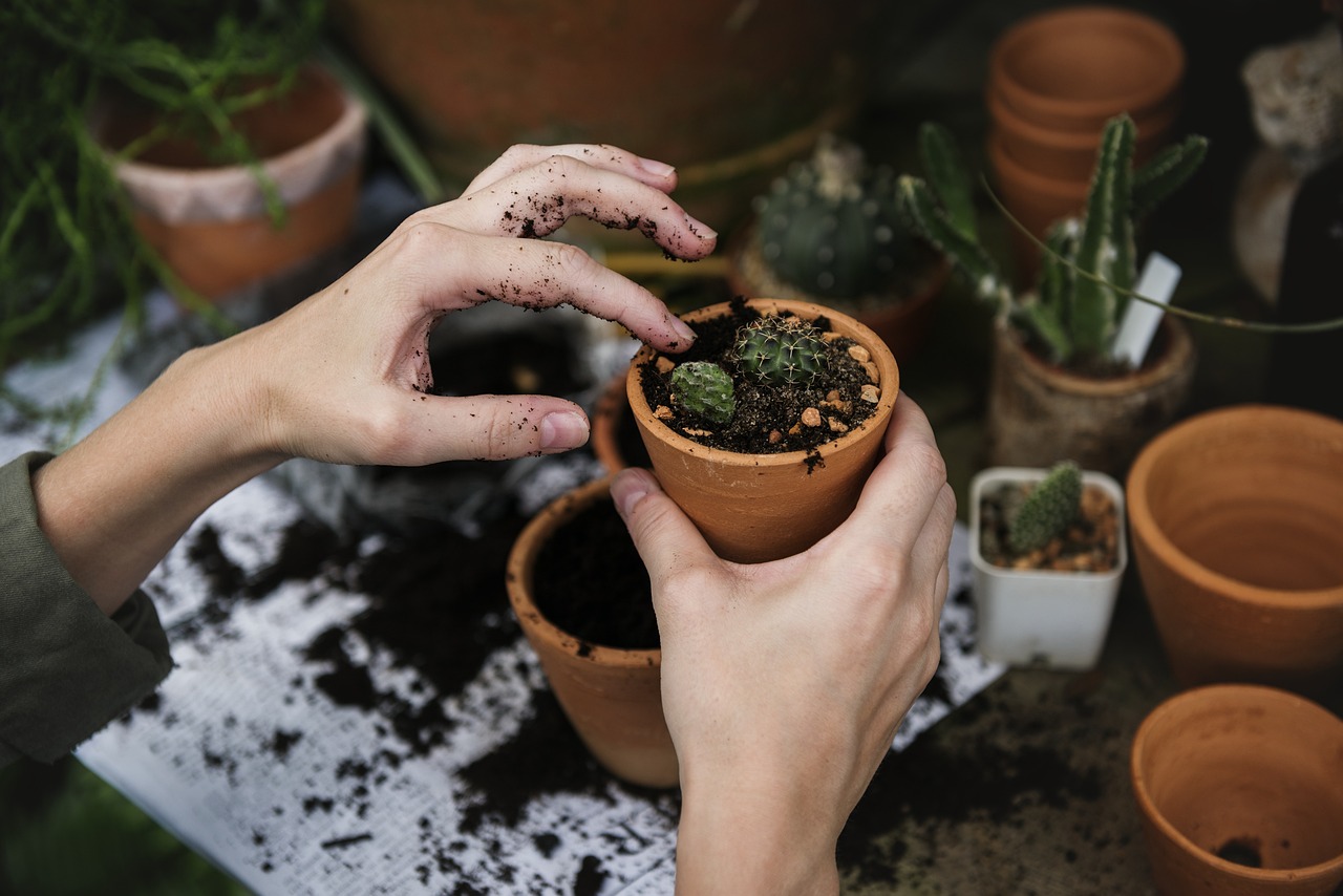 O poder dos testes de solo por XRF: como está revolucionando a análise ambiental